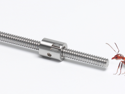 Eichenberger mit Ameise